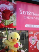 青森県青森市の花屋　アンジェリック